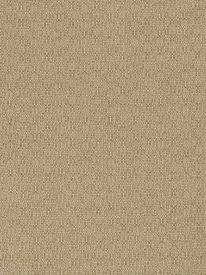 Ajit - Taupe