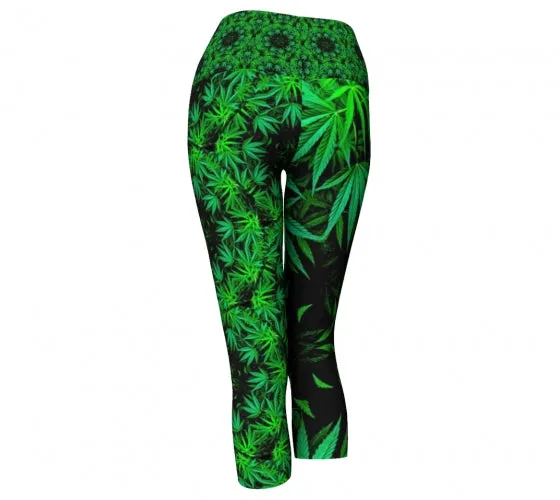 Basil - Spice Yoga Capris