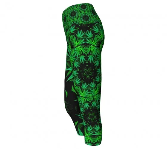 Basil - Spice Yoga Capris