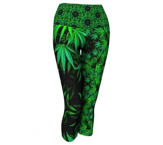 Basil - Spice Yoga Capris