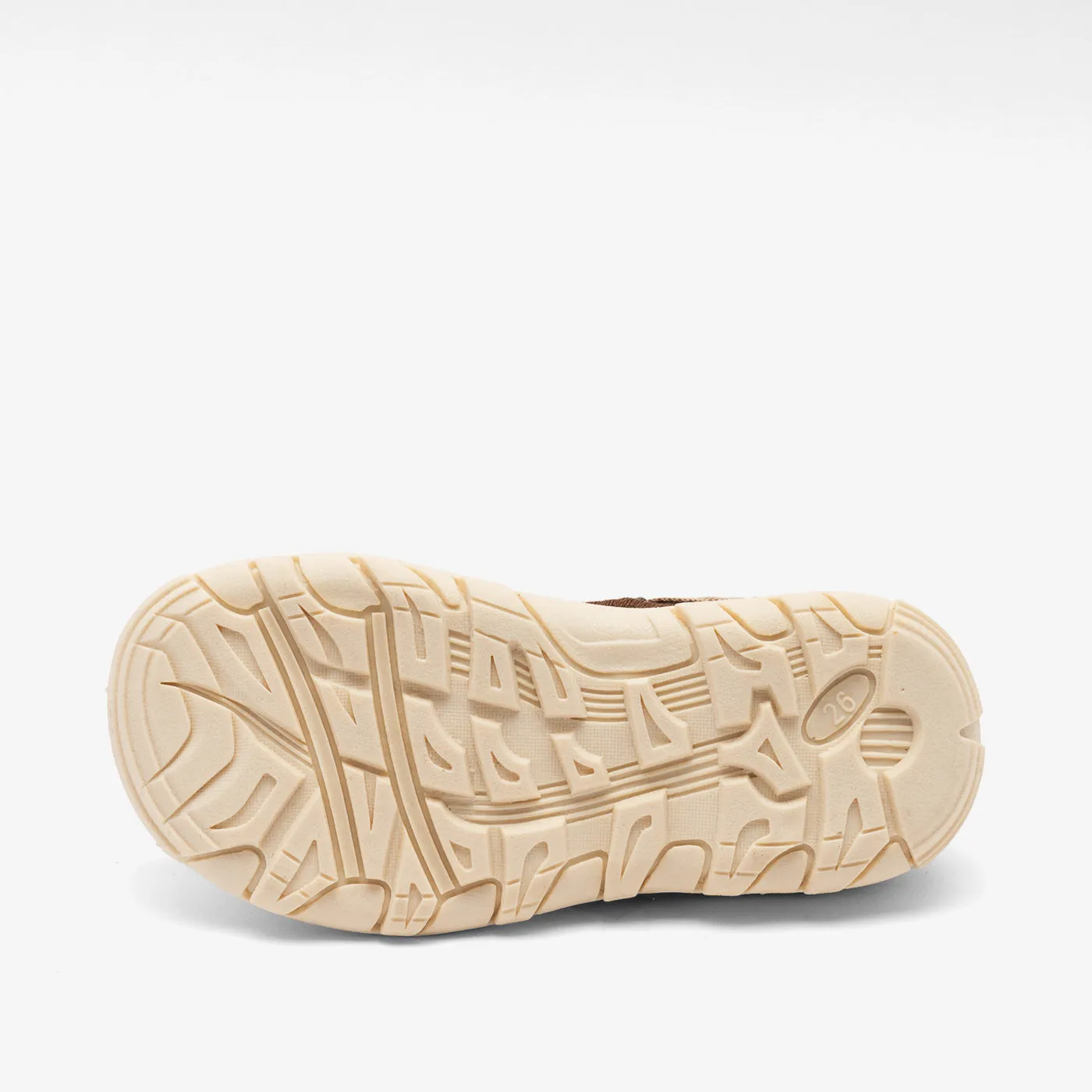 bisgaard zion brown