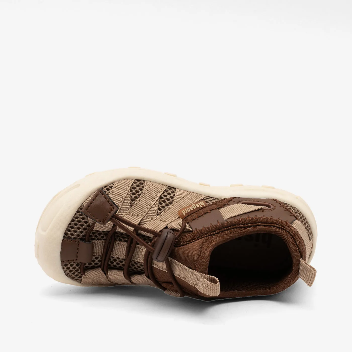 bisgaard zion brown