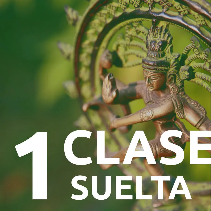 Bono 1 Clase suelta