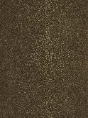 Canberra - Copperhead
