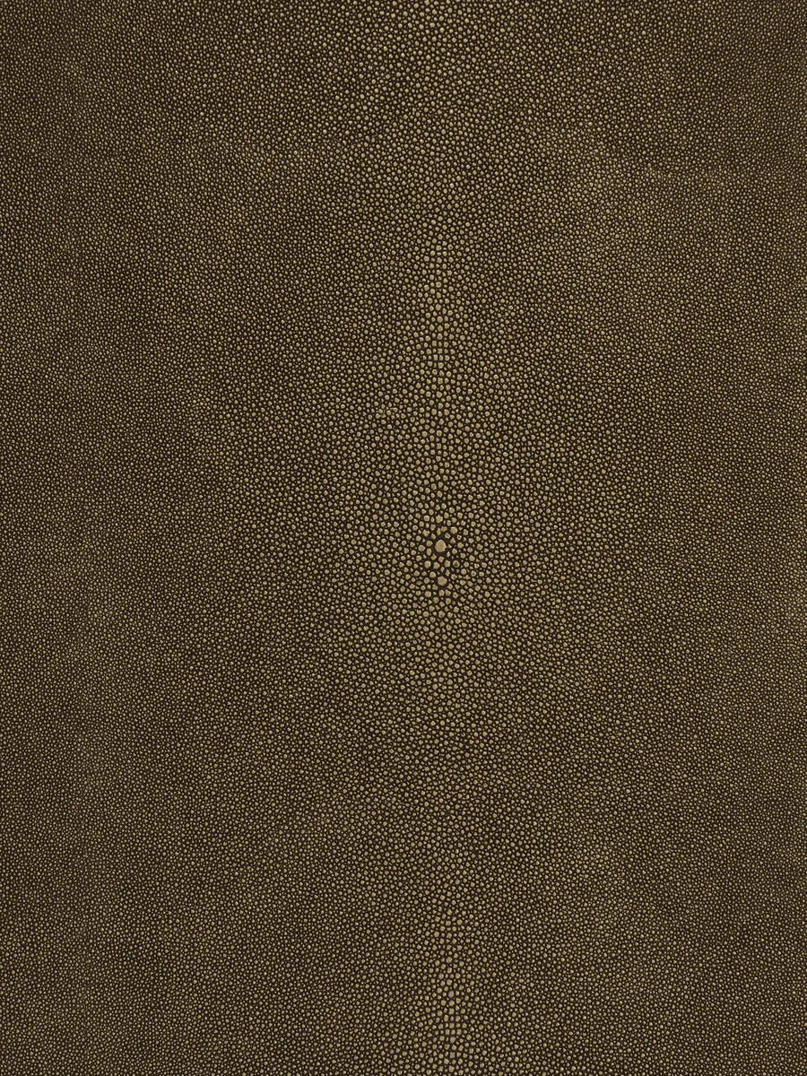 Canberra - Copperhead