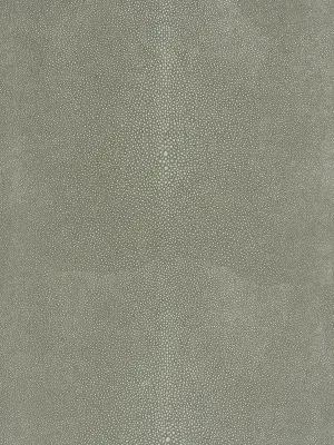 Canberra - Mineral