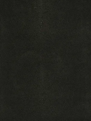 Canberra - Poppy seed