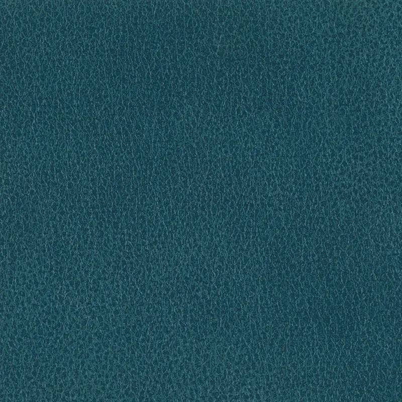 Fiesta-Cove