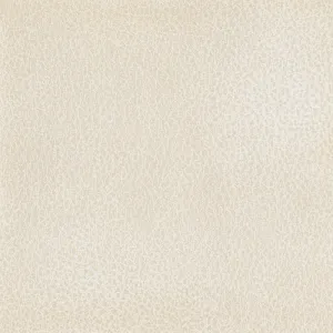 Fiesta-Cream
