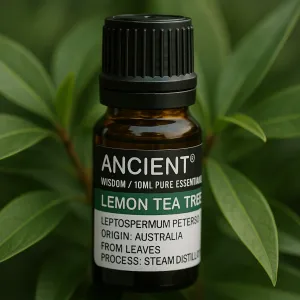 Lemon Tea Tree Essential Oil 10 ml