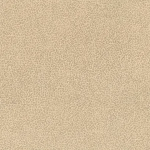 Nemo-Buckskin