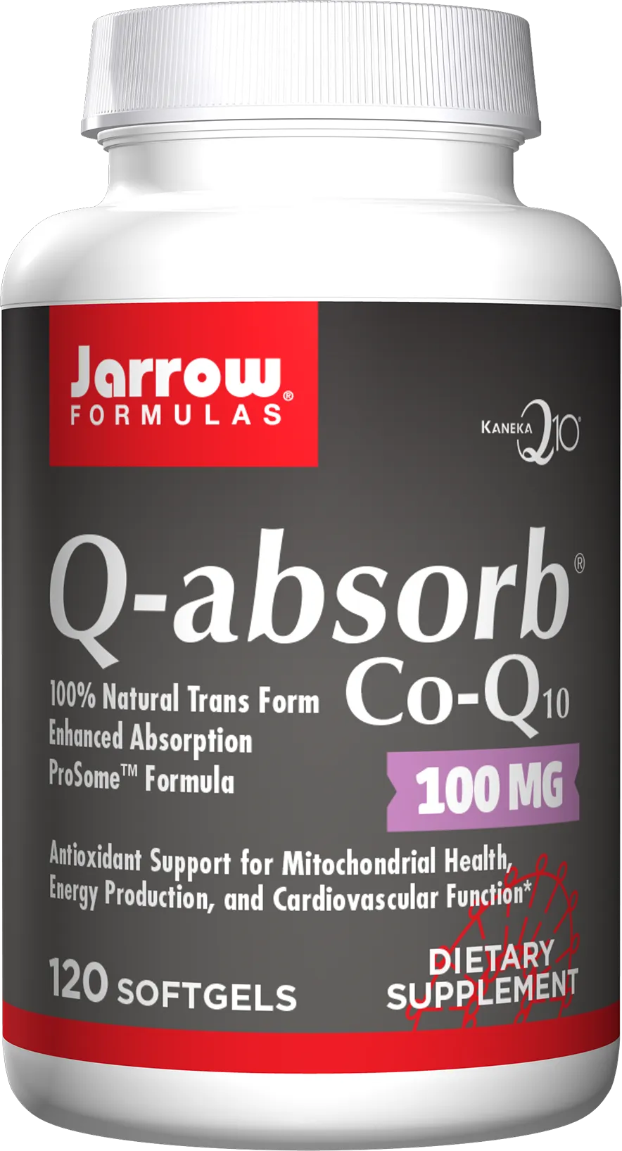 Q-absorb®