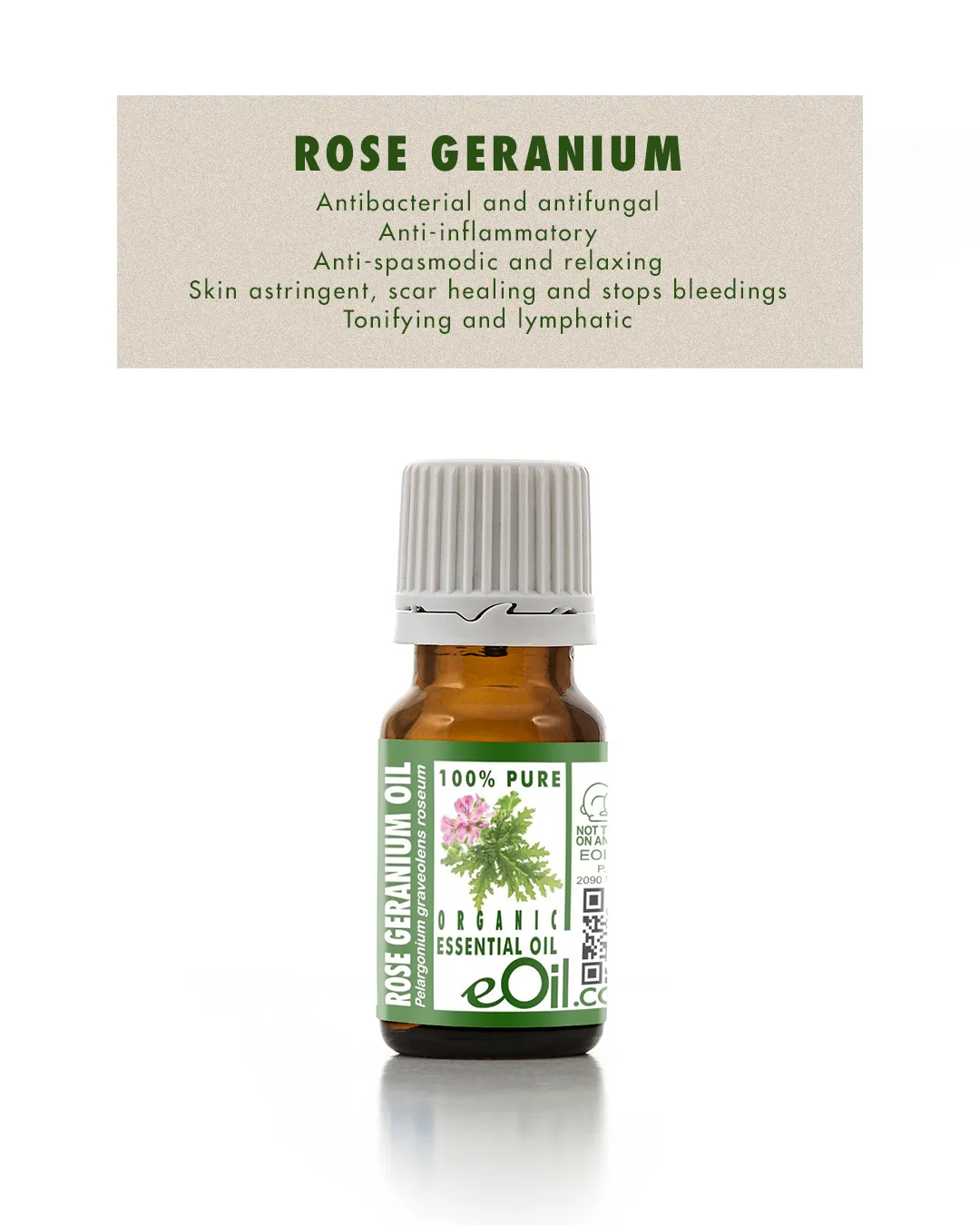 Rose Geranium Essential Oil Organic