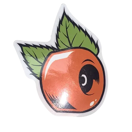Skateboard Stickers