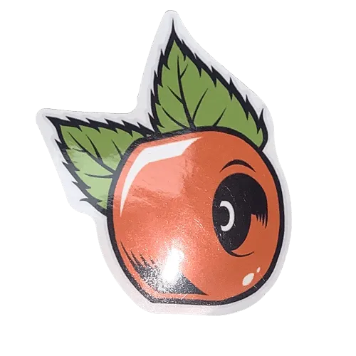 Skateboard Stickers