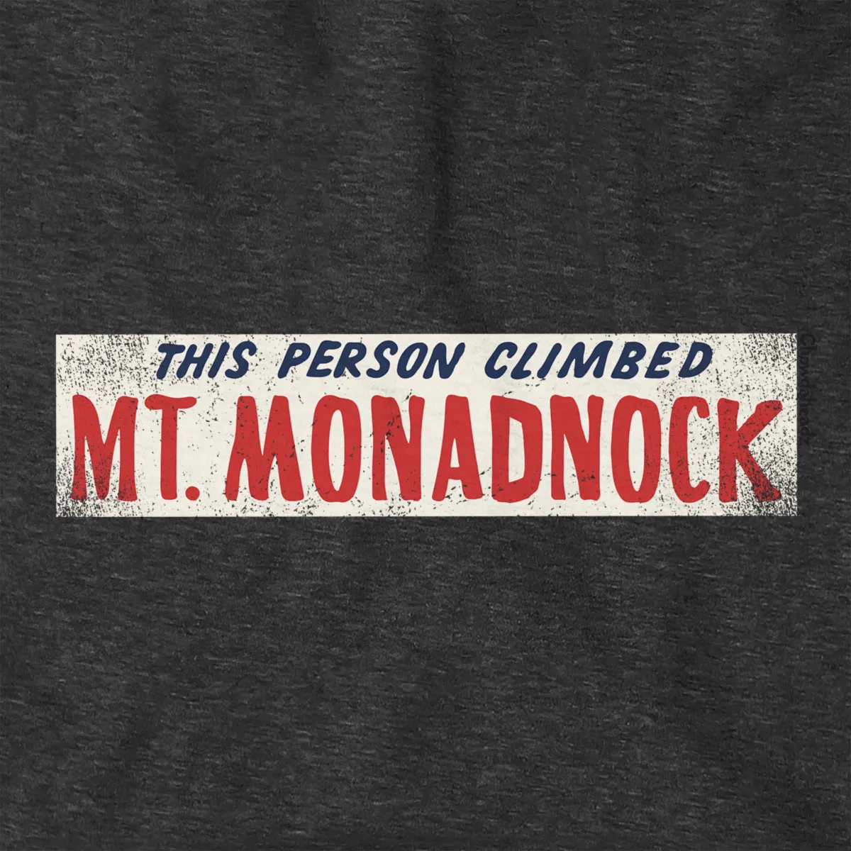 This Person Climbed Mt. Monadnock Hoodie