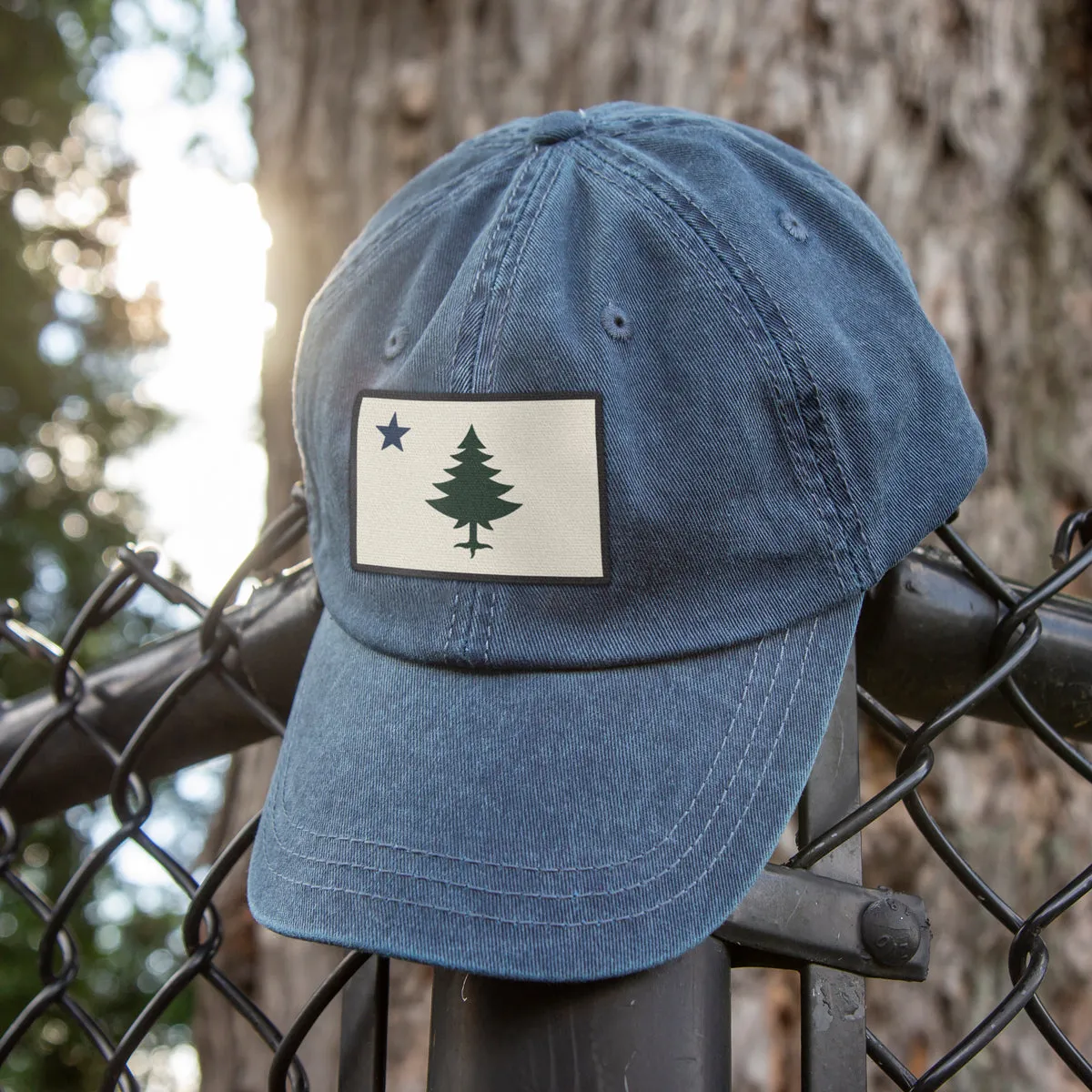Vintage Maine Flag Washed Dad Hat